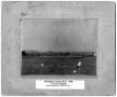 Thumbnail image of item number 1 in: '[Cotton yard in Wellington]'.