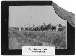 Primary view of object titled '[Early crop harvesting]'.