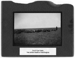 Primary view of object titled '[Cecil Coe Farm]'.