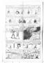 Thumbnail image of item number 2 in: 'The Alto Herald (Alto, Tex.), Vol. 31, No. 26, Ed. 1 Thursday, October 29, 1931'.