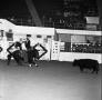 Photograph: [A Captivating Equine Choreography: Cowboys and Steeds in a Cutting H…