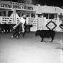 Photograph: [Cowboy Pursuit: Chasing the Herd]
