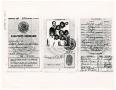 Primary view of [Passport for Irene Salce de Urbina and her children]