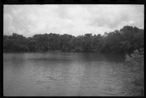Primary view of object titled '[Miller's Lake and surrounding trees]'.