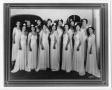 Thumbnail image of item number 1 in: '[Fourteen Club Terpsicore members in long dresses]'.