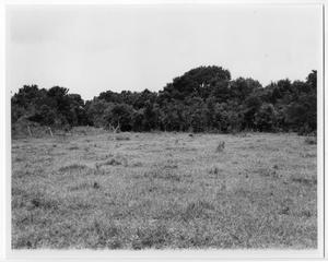 Primary view of object titled '[Site of 1766 Orcoquisac presidio compound]'.