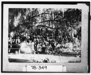 Primary view of object titled '[Large Group of People at Tres Palacios Creek]'.