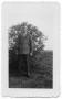 Primary view of [Melvin Hansen Outdoors in Front of Bush]