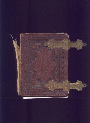 Primary view of object titled '[Cover of Herbert family photo album]'.