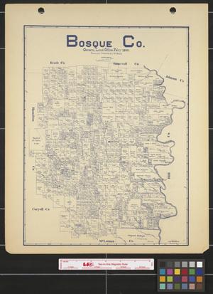 Primary view of object titled 'Bosque County.'.