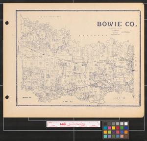 Primary view of object titled 'Bowie County.'.