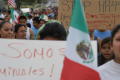 Photograph: [Signs and flag in crowd of protesters]