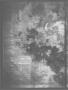 Thumbnail image of item number 2 in: 'The Standard. (Clarksville, Tex.), Vol. 13, No. 12, Ed. 1 Saturday, March 29, 1856'.
