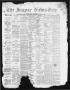 Thumbnail image of item number 1 in: 'The Jasper News-Boy (Jasper, Tex.), Vol. 6, No. 21, Ed. 1 Thursday, August 24, 1871'.