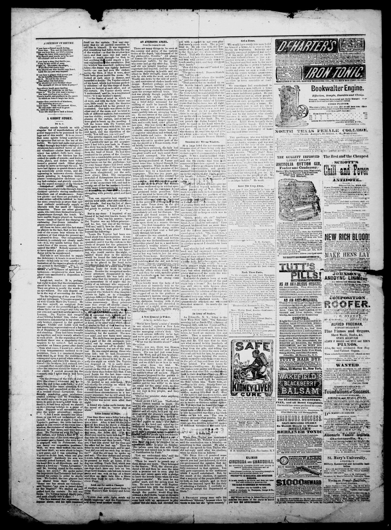 The Independent. (Brazoria, Tex.), Vol. 2, No. 23, Ed. 1 Friday, August 26, 1881
                                                
                                                    [Sequence #]: 4 of 4
                                                