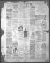 Thumbnail image of item number 4 in: 'The South-East Texan (Jasper, Tex.), Ed. 1 Friday, August 1, 1884'.