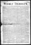 Primary view of Weekly Telegraph (Houston, Tex.), Vol. 35, No. 3, Ed. 1 Thursday, May 13, 1869