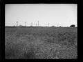 Primary view of [Photograph of Tall Grass Fields]