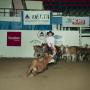 [Cutting Horse Competition: Image 1991_D-105_04]