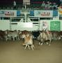 [Cutting Horse Competition: Image 1991_D-106_03]