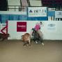 [Cutting Horse Competition: Image 1991_D-106_07]