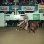 Primary view of [Cutting Horse Competition: Curly Rode Her Ma #2]