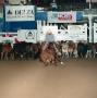Primary view of [Cutting Horse Competition: Bobs Sugar Acre #1]