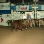 Primary view of [Cutting Horse Competition: Bob Acre Blond #4]