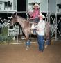 Primary view of Cutting Horse Competition: Image 1991_D-242_05
