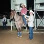Primary view of Cutting Horse Competition: Image 1991_D-242_07