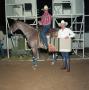 Primary view of Cutting Horse Competition: Image 1991_D-242_09
