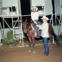 Primary view of Cutting Horse Competition: Image 1991_D-244_02