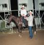 Primary view of Cutting Horse Competition: Image 1991_D-244_03