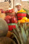 Primary view of [Man sitting behind containers of fruit]