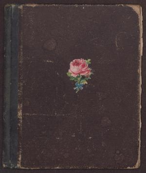 Primary view of object titled '[Journal of Gertrude Osterhout at Baylor Female College, 1880-1883]'.