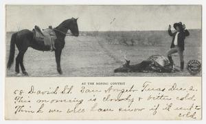 Primary view of object titled '[Postcard from Rose Chamberlin to Ora Osterhout, December 3, 1908]'.