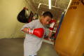 Photograph: [Boy in red boxing gloves surrounded by practice bags]
