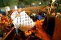 Photograph: [Man holding white latticework in midst of large pile of trash]