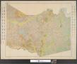 Thumbnail image of item number 1 in: 'Soil Map, Texas, Harrison County sheet.'.