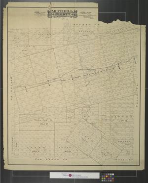Primary view of object titled 'Mitchell County, state of Texas.'.