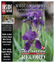 Thumbnail image of item number 1 in: 'The Canadian Record (Canadian, Tex.), Vol. 118, No. 17, Ed. 1 Thursday, April 24, 2008'.