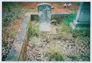 Primary view of object titled '[Headstone of William M. Price]'.