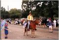 Thumbnail image of item number 1 in: '[Charles Wilson Rides a Donkey in the 1994 Diboll Day Parade'.