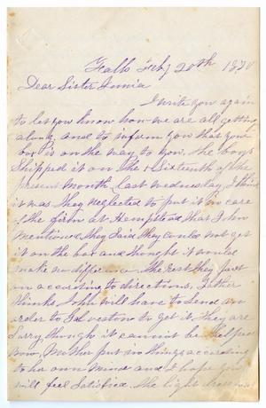 Primary view of [Letter from E. Kirlin to Junia Roberts Osterhout, July 20, 1870]