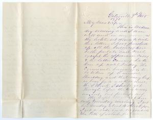Primary view of [Letter from John Patterson Osterhout to Junia Roberts Osterhout, November 9, 1870]