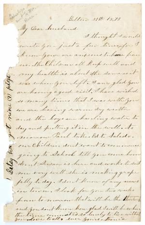 Primary view of object titled '[Letter from Junia Roberts Osterhout to John Patterson Osterhout, 1873]'.