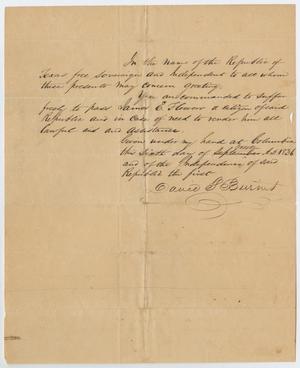 Primary view of object titled '[Passport to Travel for James E. Flowers]'.