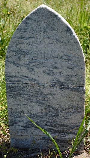Primary view of object titled '[Photograph of Martha A. Washington's Grave]'.