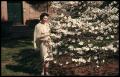 Thumbnail image of item number 1 in: '[Betty Flanagan and the Dogwoods at the Carnegie Building]'.