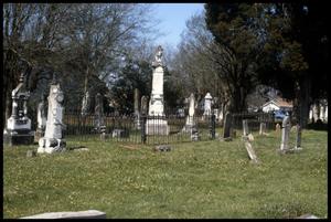Primary view of [Photograph of Oldest Section of the Palestine City Cemetery Complex]
